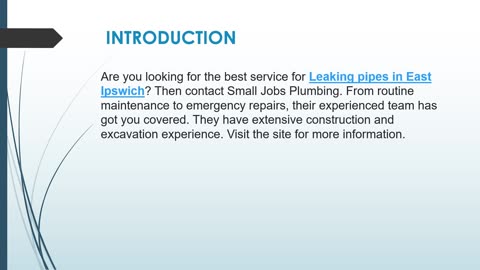 Best service for Leaking pipes in East Ipswich