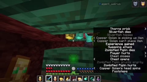 Minecraft Tough as Nails 11