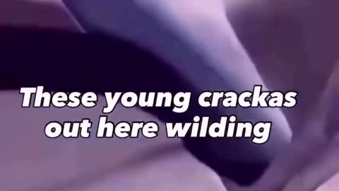 YC wilding ‼️…🚨🗞️