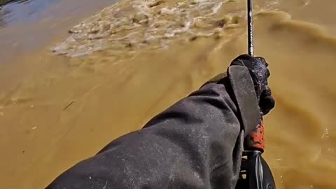 Top 5 Monster Fish Catching 🤯 With Rod Fishing