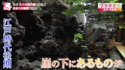 ブラタモリ 東京・神楽坂▼大人の隠れがの街はどうできた花街誕生のヒミツ