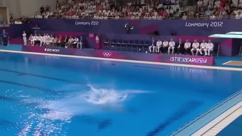 Which Animal Wins the Gold Medal_ _ Animal Olympics