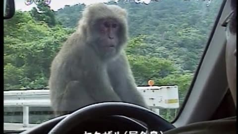Japan NHK September 16, 2001 430am-500am JST