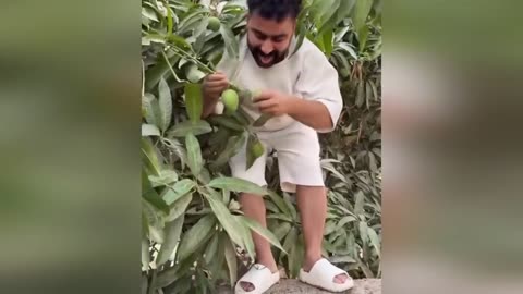 Best Funny Videos Of 2025 😂 TRY NOT TO LAUGH Funny Videos #1 😂