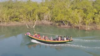 Sunderban