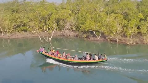 Sunderban