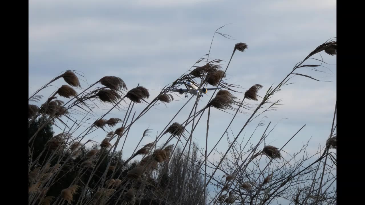 Lord Winter - Wind