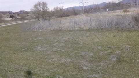 Apocalypse Chronicles