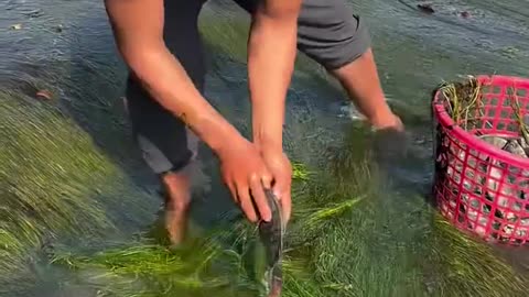 Easy fishing