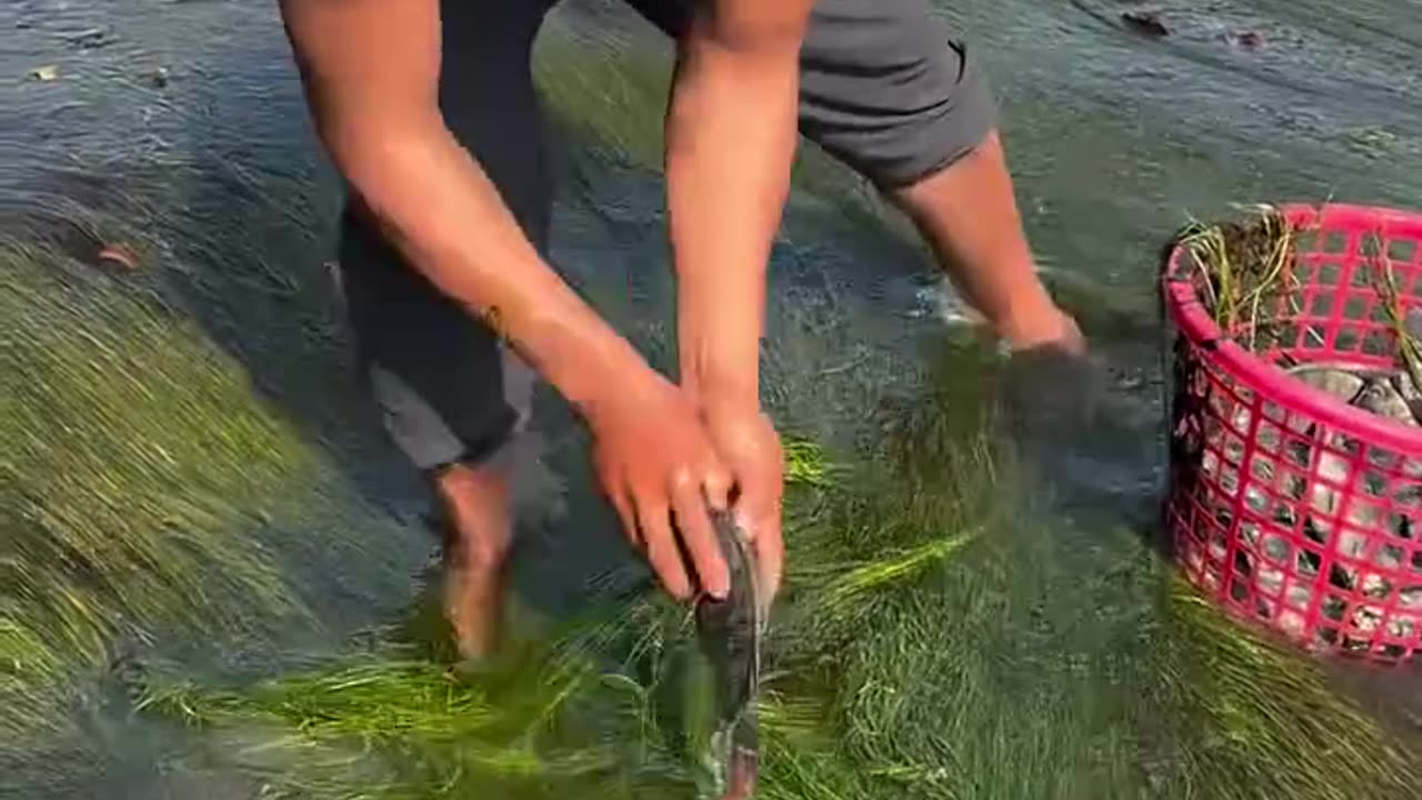 Easy fishing