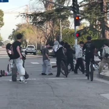 LA Teens Assault Driver After Confrontation Over Blocked Street