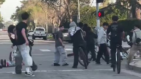 LA Teens Assault Driver After Confrontation Over Blocked Street