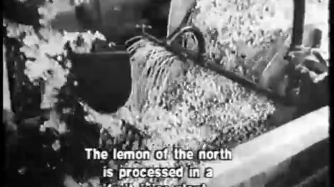German Newsreel 739 - November 2, 1944