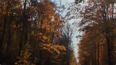 Upper Peninsula Autumn Drive
