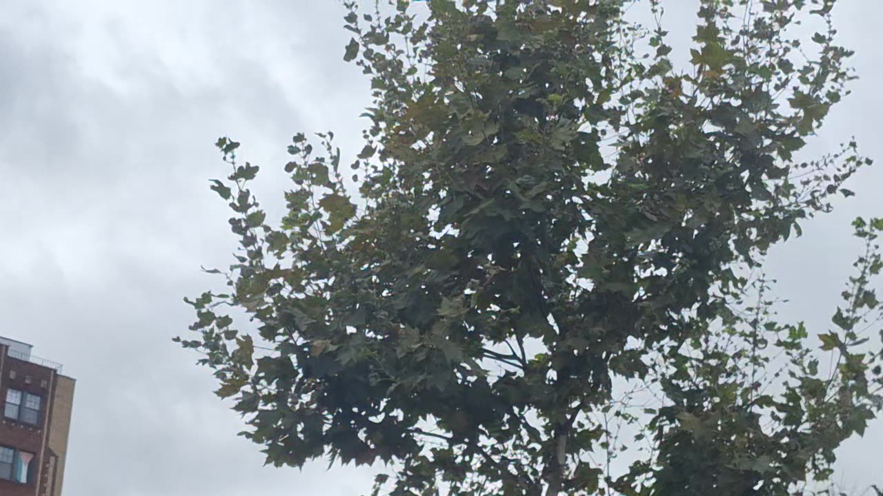 Not real clouds blocking the white sun and yellow sun