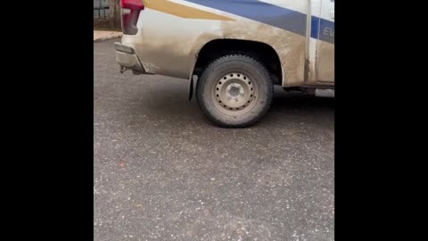 🙏🌟 Ukraine War | Supporters Help Evacuate Thousands to Safety | RCF