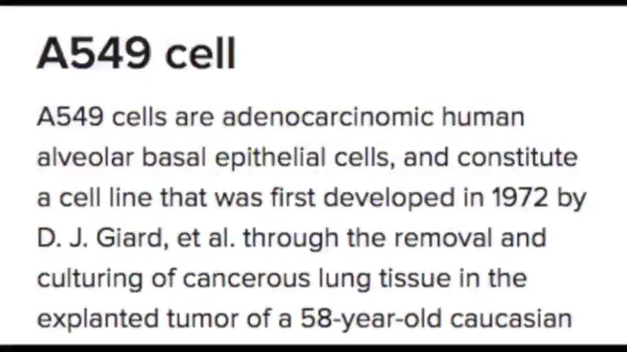 The Gods of Government Full Documentary