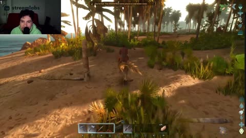 ark survivor ascended we back