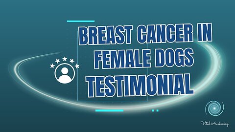 Kiara’s Story: A 13-Year-Old Toy Poodle’s Path to Recovery 🐾✨