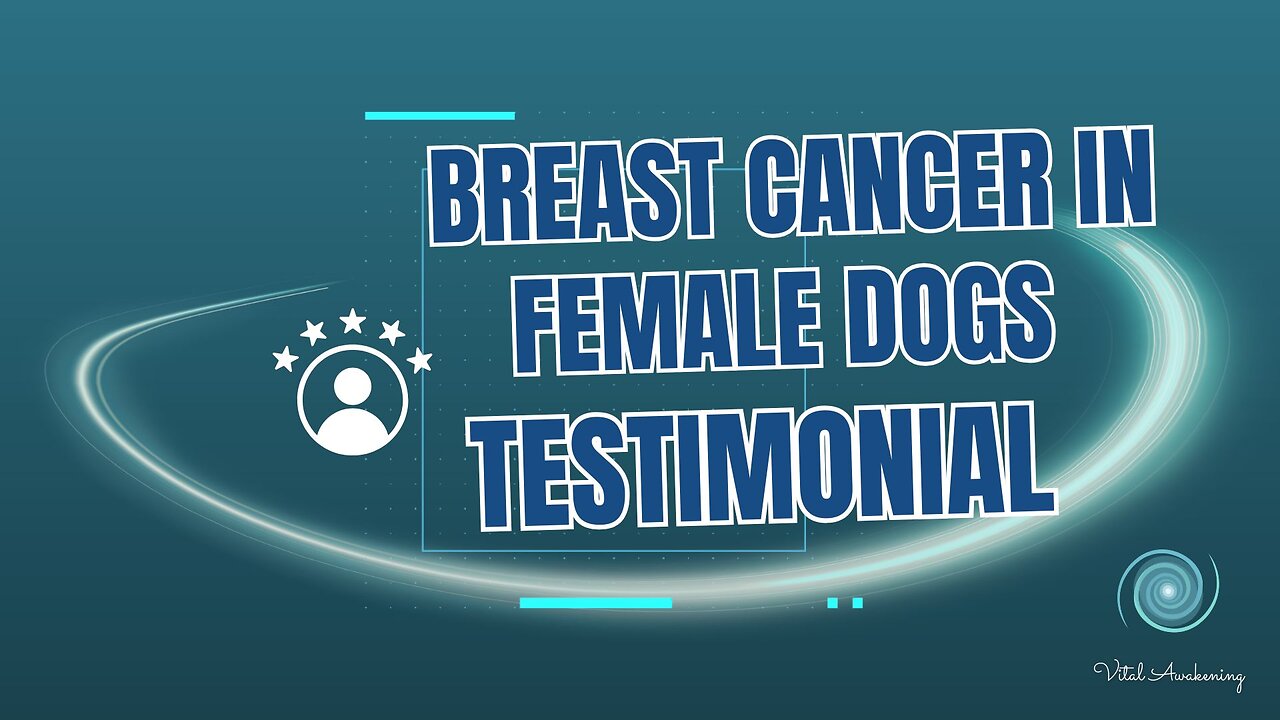 Kiara’s Story: A 13-Year-Old Toy Poodle’s Path to Recovery 🐾✨