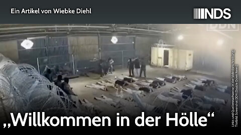 „Willkommen in der Hölle“ | Wiebke Diehl | NDS-Podcast