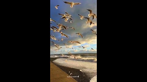 #foryoupage#viralvideo