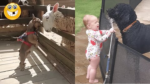 Funniest Animals & Cute Pets 😄 New Funny Cats & Dogs Videos