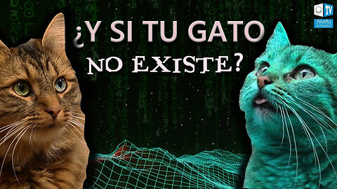 Evidencias de que VIVIMOS EN UNA MATRIX. ¿Existe el gato?