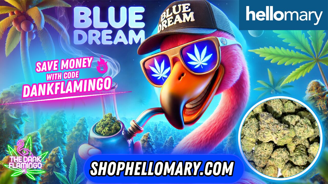 Enjoying Blue Dream from Shop Hello Mary! The Dank Flamingo Review!!