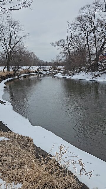 Ducks just Chilling at a Bend in Salt Creek