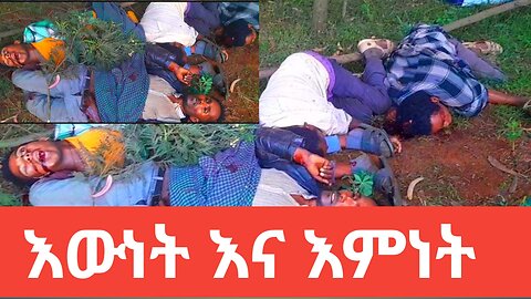 እምነት እና እውነት