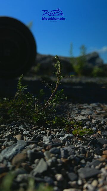 Peace Looks Like This #peace