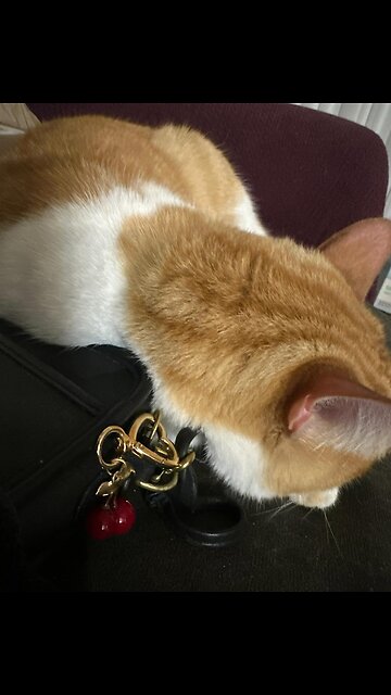 What shows do you like to watch? #dubaibling #youngfamousandafrican #latina #aesthetic