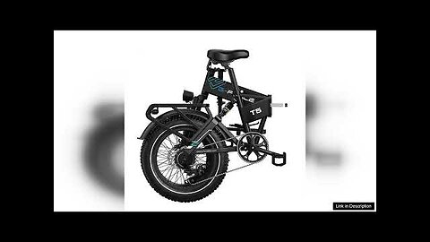 USA DIRECT G-FORCE T5 48V 20AH 750W Electric Folding Bicycle 20*4.0 Inch Review