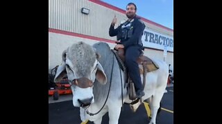 Llamada por actividad ‘sospechosa’ acaba en diversión para agente