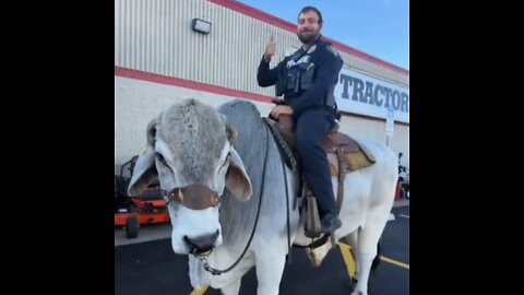 Llamada por actividad ‘sospechosa’ acaba en diversión para agente