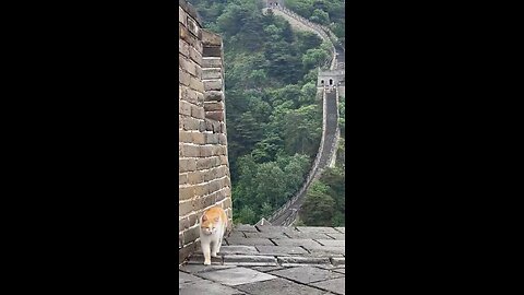 A walk on the wall.. #great #wall #china #lovinglife