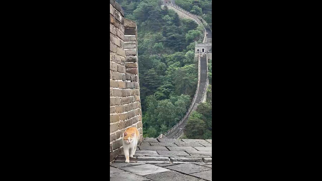 A walk on the wall.. #great #wall #china #lovinglife