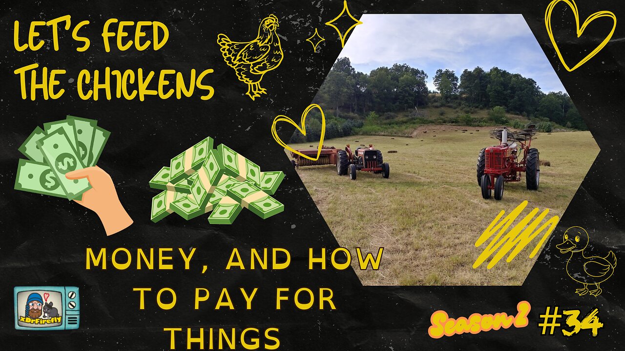 Money, and how to pay for things | Let's Feed the Chickens | E34