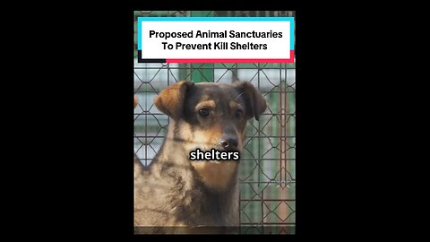 Proposed Animal Sanctuaries Policies