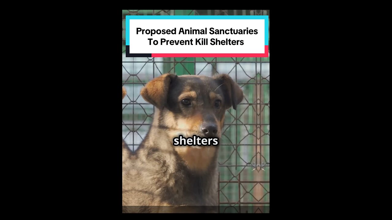Proposed Animal Sanctuaries Policies