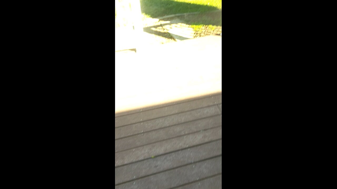 My bee update for October 10.20.25