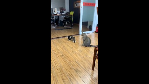 😺😺😺😺😺😺😺🥰