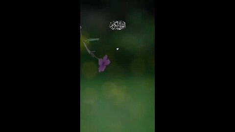 ص