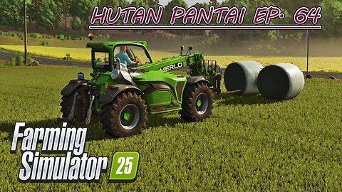 Baling & Loading Hay. Liming & Rolling the Grass Field. | HUTAN PANTAI EP. 64 | Farming Simulator 25