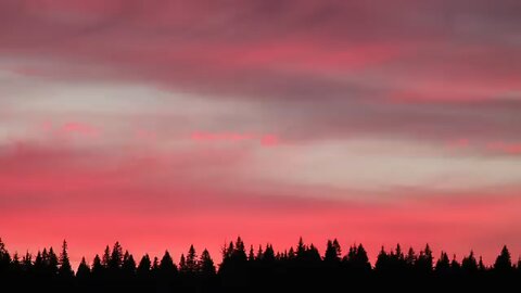 Lil_Nas_X_-_Industry_Baby__Lyrics__ft._Jack_Harlow(0)