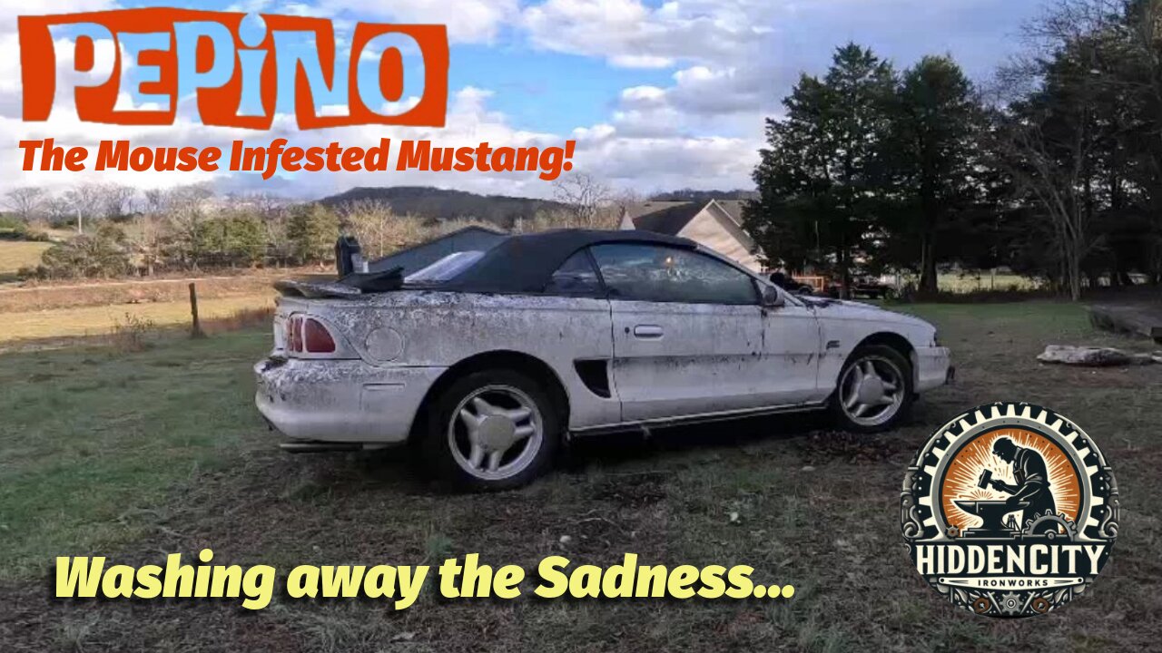 95 Mustang GT - Power Washing ASMR