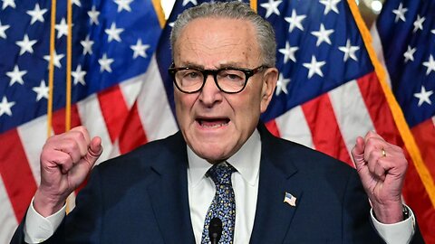 Tragic - Schumer Suffers Mental Breakdown On Camera As Shutdown Continues