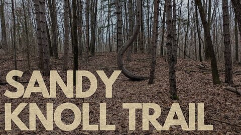 Sandy Knoll Trail at Pickerel Lake, Cloudy Fall Hike | Full Hike POV | Nature ASMR | Kent, MI