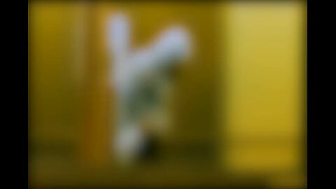 Knife Expert — The Silent Killer Returns expert in everything